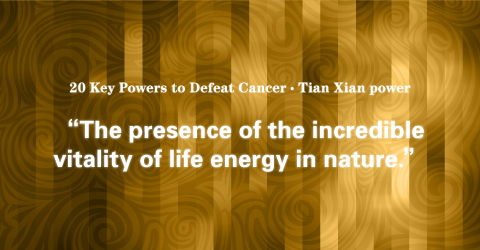 06 Tian Xian power: Validation Experiments