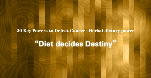 08 Herbal Dietary Power: Medicine and Food From a Same Source