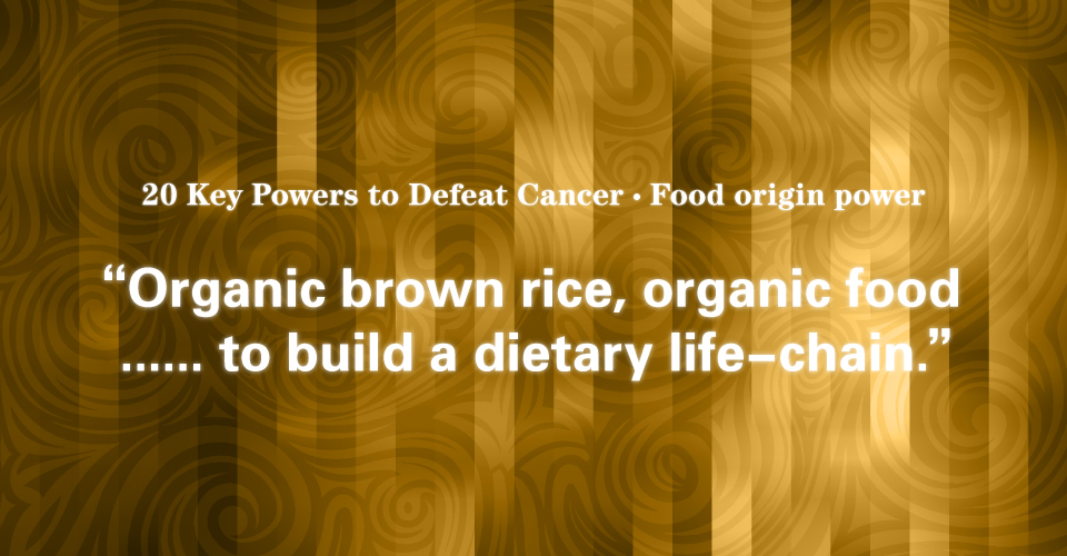 12 Food Origin Power: Dietary Life-Chain
